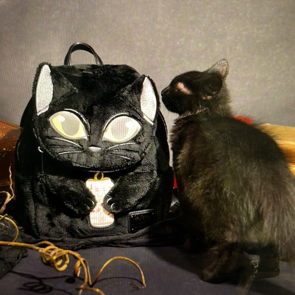 🐈‍⬛🎃🐈‍⬛. HOCUS POCUS BINX PLUSH MINI BACKPACK 🐈‍⬛🎃🐈‍⬛ NWT 🐈‍⬛🎃🐈‍⬛ - Picture 10 of 15